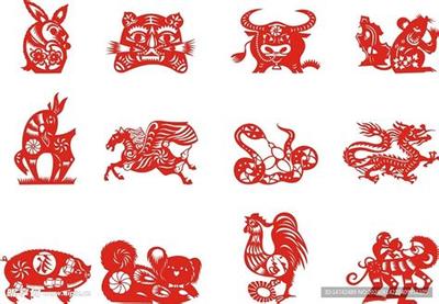 梦见花预示什么?5种梦境详细解读