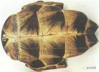 塔罗牌倒吊人牌义详解:正位与逆位全面解读